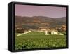 Opus One Winery, Napa Valley, California-John Alves-Framed Stretched Canvas