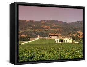 Opus One Winery, Napa Valley, California-John Alves-Framed Stretched Canvas