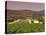 Opus One Winery, Napa Valley, California-John Alves-Stretched Canvas