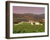 Opus One Winery, Napa Valley, California-John Alves-Framed Photographic Print