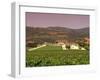 Opus One Winery, Napa Valley, California-John Alves-Framed Photographic Print