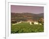 Opus One Winery, Napa Valley, California-John Alves-Framed Photographic Print