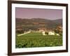 Opus One Winery, Napa Valley, California-John Alves-Framed Photographic Print