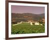 Opus One Winery, Napa Valley, California-John Alves-Framed Photographic Print