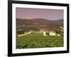 Opus One Winery, Napa Valley, California-John Alves-Framed Photographic Print