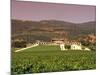 Opus One Winery, Napa Valley, California-John Alves-Mounted Photographic Print