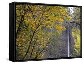 Or, Columbia River Gorge, Latourell Falls, 249 Foot Waterfall-Jamie And Judy Wild-Framed Stretched Canvas