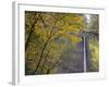 Or, Columbia River Gorge, Latourell Falls, 249 Foot Waterfall-Jamie And Judy Wild-Framed Photographic Print