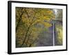 Or, Columbia River Gorge, Latourell Falls, 249 Foot Waterfall-Jamie And Judy Wild-Framed Photographic Print