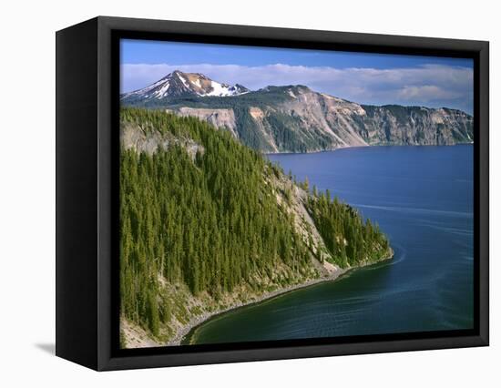 OR, Crater Lake NP. Conifer pollen accumulates on surface of Crater Lake at Cleetwood Cove-John Barger-Framed Stretched Canvas