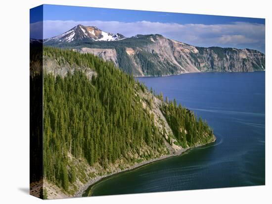 OR, Crater Lake NP. Conifer pollen accumulates on surface of Crater Lake at Cleetwood Cove-John Barger-Stretched Canvas