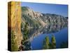 OR, Crater Lake NP. Yellow lichens on the Palisades frame view south from Palisade Point-John Barger-Stretched Canvas