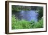 OR, Deschutes NF. Early summer vegetation and the Metolius River-John Barger-Framed Photographic Print