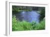 OR, Deschutes NF. Early summer vegetation and the Metolius River-John Barger-Framed Photographic Print