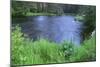 OR, Deschutes NF. Early summer vegetation and the Metolius River-John Barger-Mounted Photographic Print