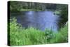 OR, Deschutes NF. Early summer vegetation and the Metolius River-John Barger-Stretched Canvas