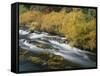 OR, Deschutes NF. Fall colored shrubs along the Metolius River-John Barger-Framed Stretched Canvas