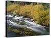 OR, Deschutes NF. Fall colored shrubs along the Metolius River-John Barger-Stretched Canvas