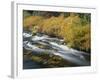 OR, Deschutes NF. Fall colored shrubs along the Metolius River-John Barger-Framed Photographic Print