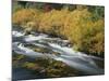OR, Deschutes NF. Fall colored shrubs along the Metolius River-John Barger-Mounted Photographic Print