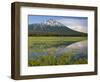 OR, Deschutes NF. Mount Bachelor reflecting in shallow marsh near Sparks Lake-John Barger-Framed Photographic Print