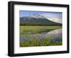 OR, Deschutes NF. Mount Bachelor reflecting in shallow marsh near Sparks Lake-John Barger-Framed Photographic Print