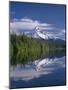 OR, Mount Hood NF and conifer forest reflect on calm surface of Lost Lake.-John Barger-Mounted Photographic Print