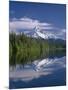 OR, Mount Hood NF and conifer forest reflect on calm surface of Lost Lake.-John Barger-Mounted Photographic Print