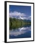 OR, Mount Hood NF and conifer forest reflect on calm surface of Lost Lake.-John Barger-Framed Photographic Print