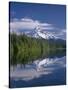 OR, Mount Hood NF and conifer forest reflect on calm surface of Lost Lake.-John Barger-Stretched Canvas