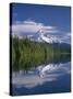 OR, Mount Hood NF and conifer forest reflect on calm surface of Lost Lake.-John Barger-Stretched Canvas