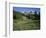 OR, Mount Hood NF. Mount Hood Wilderness, Summer meadow of lupine blooms-John Barger-Framed Photographic Print