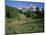 OR, Mount Hood NF. Mount Hood Wilderness, Summer meadow of lupine blooms-John Barger-Mounted Photographic Print