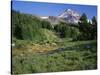 OR, Mount Hood NF. Mount Hood Wilderness, Summer meadow of lupine blooms-John Barger-Stretched Canvas