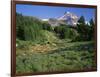 OR, Mount Hood NF. Mount Hood Wilderness, Summer meadow of lupine blooms-John Barger-Framed Photographic Print