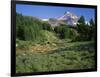 OR, Mount Hood NF. Mount Hood Wilderness, Summer meadow of lupine blooms-John Barger-Framed Photographic Print