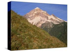 OR, Mount Hood NF. Mount Hood Wilderness, West side of Mount Hood and summer wildflowers-John Barger-Stretched Canvas