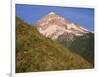 OR, Mount Hood NF. Mount Hood Wilderness, West side of Mount Hood and summer wildflowers-John Barger-Framed Photographic Print