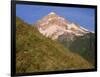 OR, Mount Hood NF. Mount Hood Wilderness, West side of Mount Hood and summer wildflowers-John Barger-Framed Photographic Print