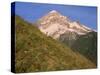 OR, Mount Hood NF. Mount Hood Wilderness, West side of Mount Hood and summer wildflowers-John Barger-Stretched Canvas