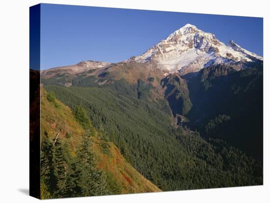 OR, Mount Hood NF. Mount Hood Wilderness, West side of Mount Hood-John Barger-Stretched Canvas