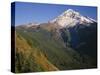 OR, Mount Hood NF. Mount Hood Wilderness, West side of Mount Hood-John Barger-Stretched Canvas