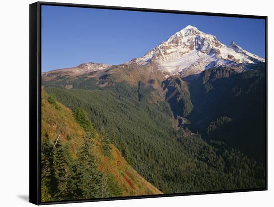 OR, Mount Hood NF. Mount Hood Wilderness, West side of Mount Hood-John Barger-Framed Stretched Canvas