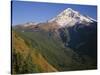 OR, Mount Hood NF. Mount Hood Wilderness, West side of Mount Hood-John Barger-Stretched Canvas