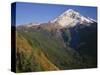 OR, Mount Hood NF. Mount Hood Wilderness, West side of Mount Hood-John Barger-Stretched Canvas