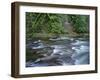 OR, Mount Hood NF. Salmon-Huckleberry Wilderness, Salmon River-John Barger-Framed Photographic Print