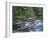 OR, Mount Hood NF. Salmon-Huckleberry Wilderness, Salmon River-John Barger-Framed Photographic Print