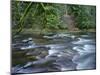 OR, Mount Hood NF. Salmon-Huckleberry Wilderness, Salmon River-John Barger-Mounted Photographic Print