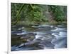 OR, Mount Hood NF. Salmon-Huckleberry Wilderness, Salmon River-John Barger-Framed Photographic Print