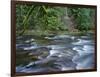 OR, Mount Hood NF. Salmon-Huckleberry Wilderness, Salmon River-John Barger-Framed Photographic Print